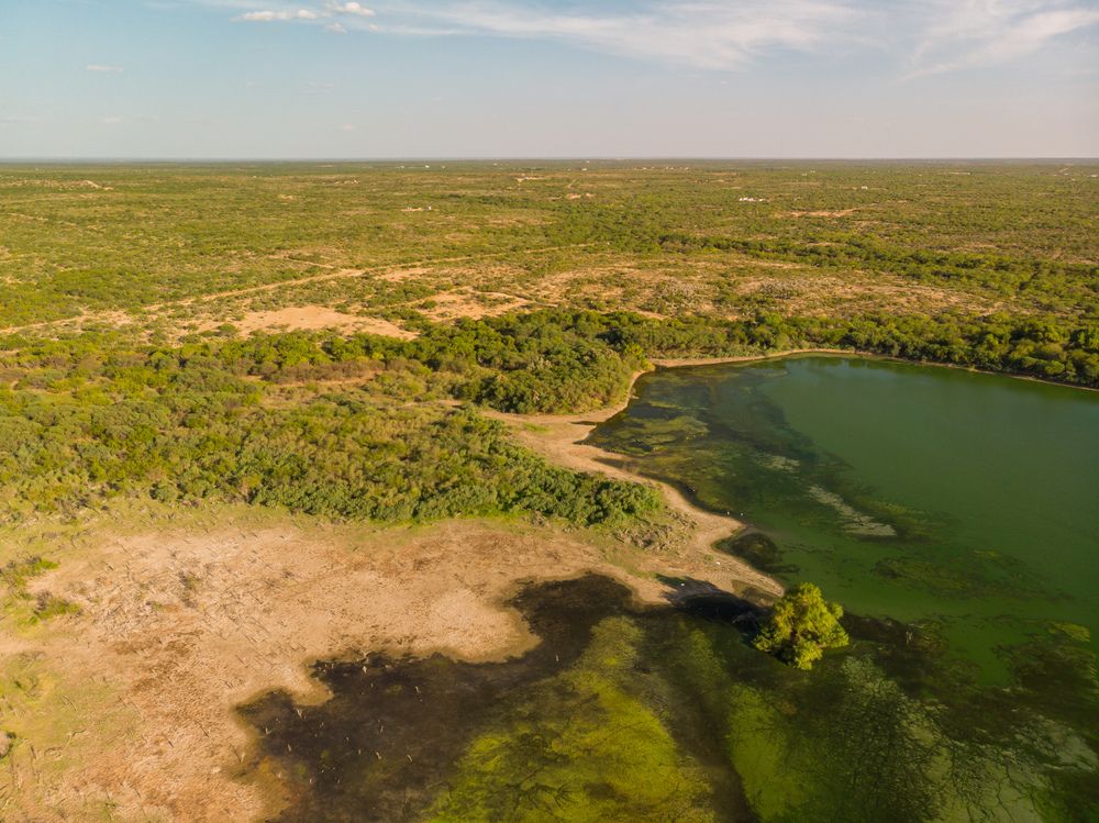 CIELITO LINDO BLVD PRIME DEVELOPMENT: CIELITO LINDO BLVD, Laredo, TX 78046
